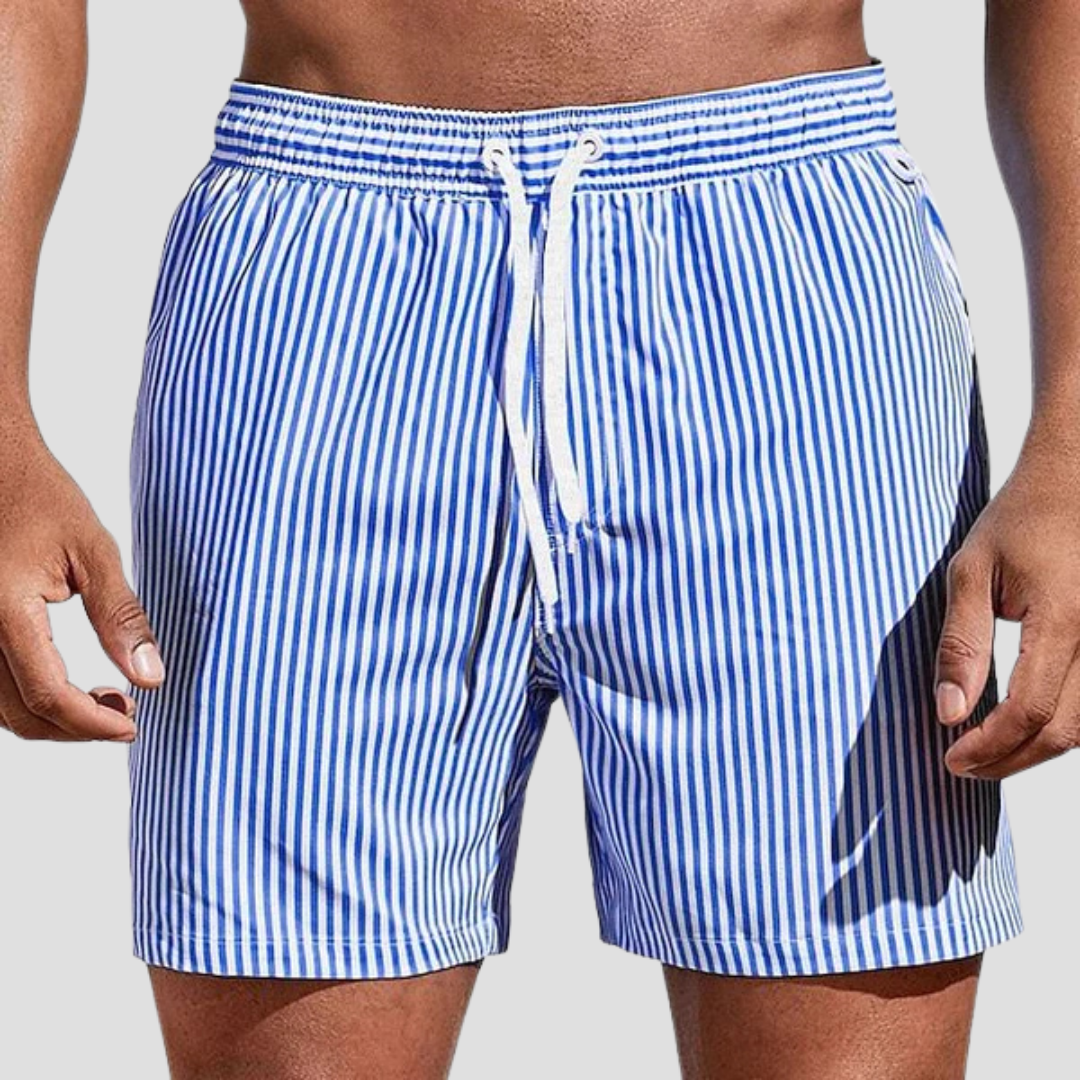 Striped Quick-Dry Swim Shorts