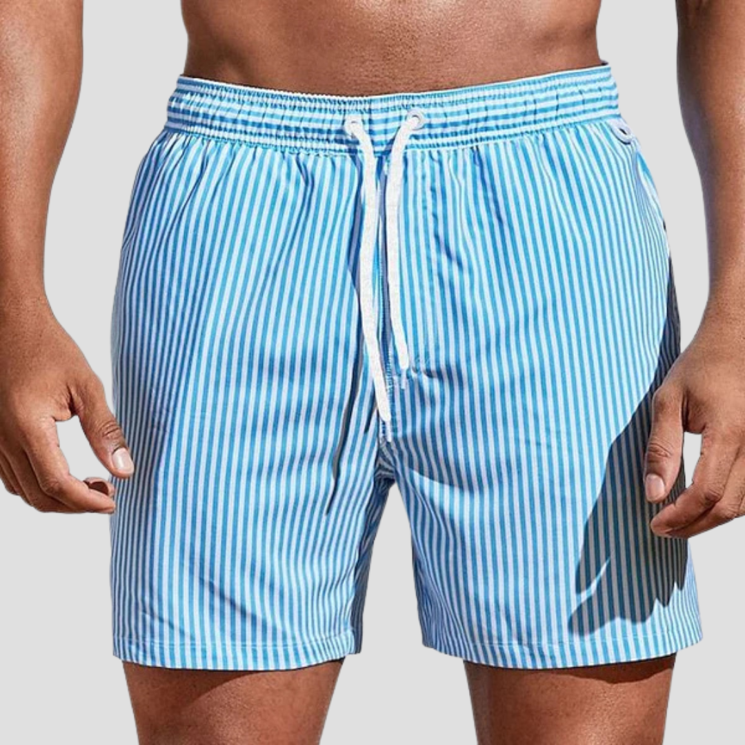 Striped Quick-Dry Swim Shorts