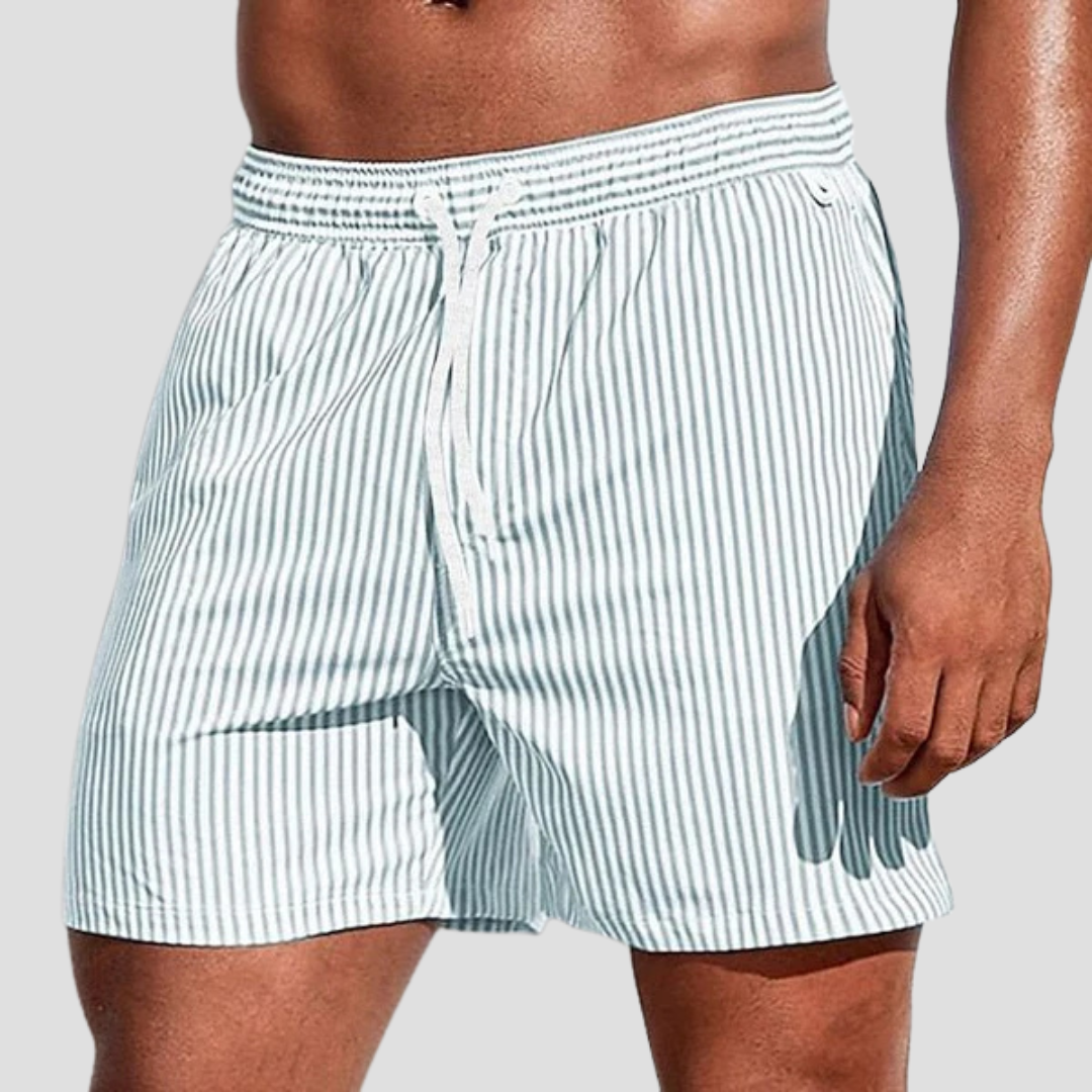 Striped Quick-Dry Swim Shorts