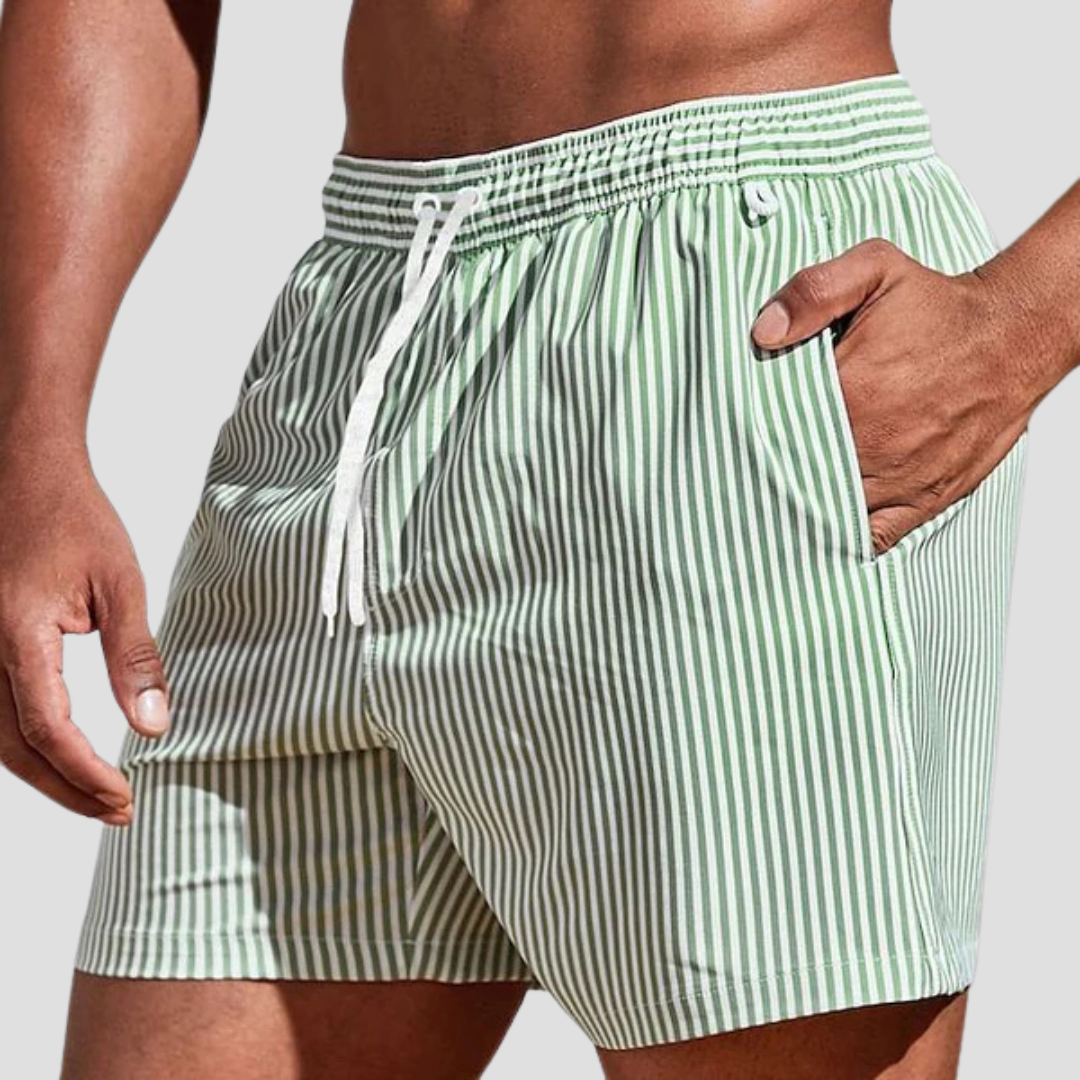 Striped Quick-Dry Swim Shorts